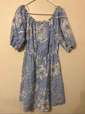 bleuh ciel Blue & White Floral Stripe Midi Dress